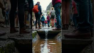 Italian Stories Surviving the Pantheon on a Rainy Day funny clip [upl. by Vivyan]