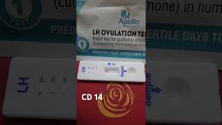 TTC 2  CD 14  Ovulation kit  LH test  05 Oct 2024  Baby Bump ttcjourney [upl. by Anjela]