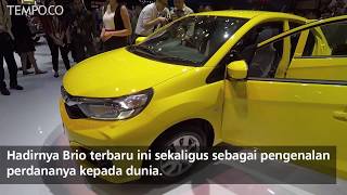 Honda All New Brio Diluncurkan di GIIAS 2018 [upl. by Saalocin319]