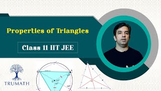 Properties of Triangles JEE Mains 2020  Class 11 Maths  TruMath [upl. by Ajuna]