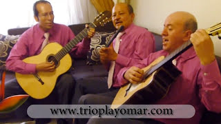 TRIO PLAYOMAR VALLENATOS EN GUITARRA [upl. by Suinuj289]