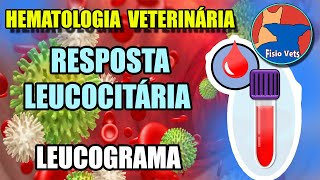 Interpretação do hemograma  Leucograma Parte 1  Medicina veterinária [upl. by Nikal]