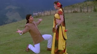 Dekha Tujhe Toh Hogayi Deewani  Shahrukh Khan  Madhuri Dixit  Kumar Sanu  Alka Yagnik  Koyla [upl. by Savory]