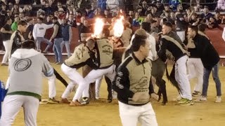 VIDEOCLIP ESPECIAL FALLAS 2024 PLAZA DE TOROS DE VALENCIA [upl. by Notlehs]