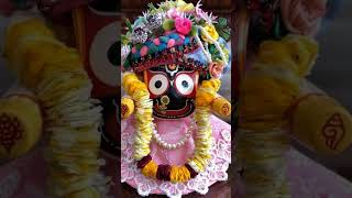 Panjuri bhitare sari🦜Monalisamanas todayaratioflordjagannath jayjagannath reels ❤ [upl. by Henebry]