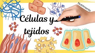 CÉLULAS y TEJIDOS [upl. by Abram]