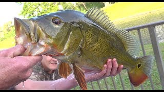 PB Peacock Bass Catch Clean Cook Potato Crusted Fish Sandwich [upl. by Vern]