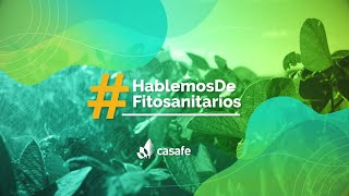 ¿Qué son los productos fitosanitarios [upl. by Pinsky]