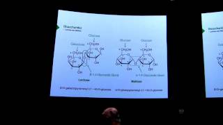 Carbohydrates II  Kevin Aherns BB 450 Lecture 17 2016 [upl. by Lazarus]