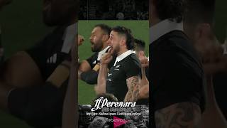 TJ PERENARA PORIRUA MAORI POLYNESIAN RUGBY ALLBLACKS [upl. by Aelyak]