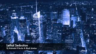 Dj Malvado ft Buckz amp Black Motion  Lethal seduction [upl. by Juster]