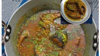 easy fish curry recipe desi machi jhol 😋😋😋 TheYummyRecipe007 [upl. by Kcirneh]