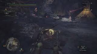 Temporal Mantle Glitch…  MHW Iceborne [upl. by Niatirb]