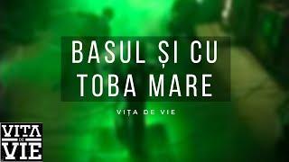 Vita de Vie  Basul si cu Toba Mare  Videoclip OFICIAL [upl. by Mozes]