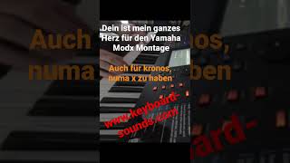 Dein ist mein ganzes Herz Coversong Heinz Rudolf Kunze Yamaha Modx Montage Coversound [upl. by Haidabo226]