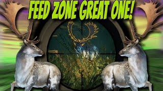 Feed Zone Great One Fallow Deer BLEW MY MIND With Its Beauty The Hunter Call of the wild [upl. by Lezlie]