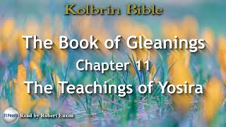 Kolbrin Bible  Book of Gleanings  Chapter 11  The Teachings of Yosira  HQ Audiobook [upl. by Eri772]