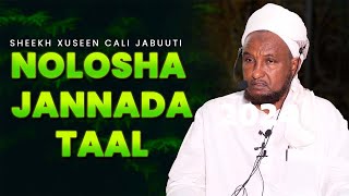 Sh xuseen Cali Jabuuti Nimcooyinka Ahlu Jannaha Alle U Diyaariyay  Qisooyin Cajiib Ah 2024 [upl. by Haymes]