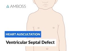 Ventricular Septal Defect VSD  Heart Auscultation  Episode 11 [upl. by Lovash]