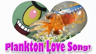 Plankton Love Song phytoplankton zooplankton ocean food chain for kids [upl. by Blau143]