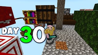 Minecraft Mega Block Survival Day 30 [upl. by Ahcire]