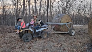 Feeding cows with the Greg Judy bale unroller and the whole family on a beautiful February evening [upl. by Burrton]