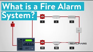 What is a Fire Alarm System [upl. by Xirtaeb791]