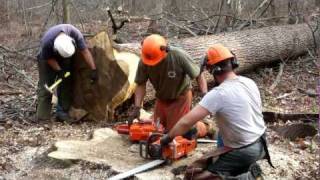 Veneer logs from the Forest to Atwood Forest Products [upl. by Carrick735]