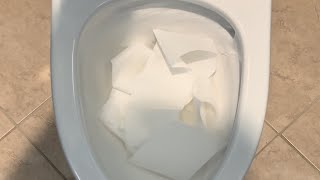 Toilet tp test compilation [upl. by Yderf660]