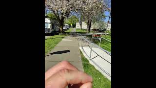 SPRUCE STREET PARK MURAL  PLAYGROUND AND CHERRY BLOSSOM TREES [upl. by Osicran702]