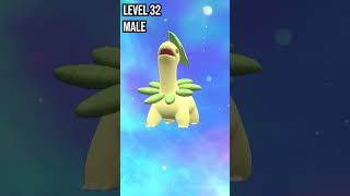 Chikorita  Bayleef  Meganium  Evolution Pokemon in Scarlet amp Violet pokemon evolution shorts [upl. by Mylan]