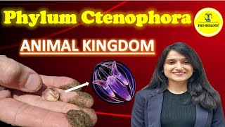 Ctenophora Animal kingdom  NEET  class 11 chapter 4  neet2025preparation [upl. by Devon]