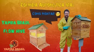 Colmeia Automática Iraí Flow Hive da Yapira Brasil [upl. by Nyroc]