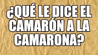 5 Adivinanzas en Español ¿Qué le dijo un jardinero a otro [upl. by Anitnahs]