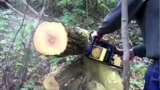 Chainsaw Buyers Guide Which One is Best for you Power Equipment Plus [upl. by Collete]