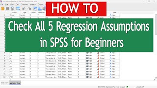 How to Check All 5 Regression Assumptions in SPSS 2024  SPSS for Beginners 6 [upl. by Erihppas]