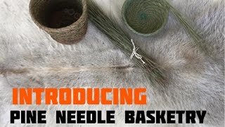 Pine Needle Basketry Introduction [upl. by Gerdeen227]