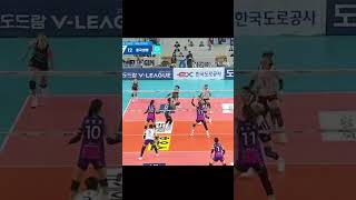 Pink Spiders vs Hippass fyp viralvideo shorts volleyball pinkspiders hipass [upl. by Sokram702]