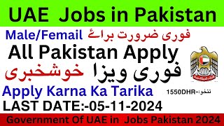 UAE Jobs in PakistanJobs in Pakistan 2024UAE jobs 2024 October jobs [upl. by Obe9]