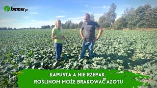 Kapusta a nie rzepak Roślinom może brakować azotu  Farmerpl [upl. by Adnirim]