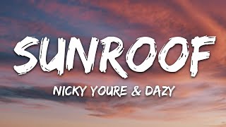 Nicky Youre dazy  Sunroof Lyrics [upl. by Aihsei]