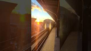 Beautiful M train with a sunset backdrop at Myrtle Wyckoff Iceymtaoffical mtrain r160 views [upl. by Aime]