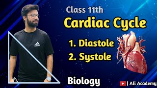 Cardiac Cycle  Diastole Atrial And Ventricles Systole  Class 11 Biology [upl. by Enilekaj]