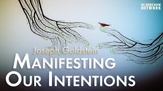 Joseph Goldstein Manifesting Our Intentions – Insight Hour Ep 135 [upl. by Ravid]