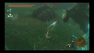 Lynel Battles in Zelda TOTK Tears Of The Kingdom [upl. by Aneled614]