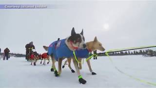 Iditarod 2018 Recap [upl. by Boyes]