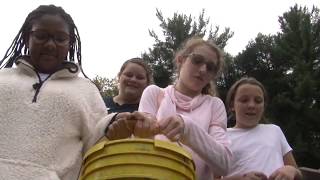 Fall Trout Stocking at Halfway Lake Union County BRoll [upl. by Acirehs859]