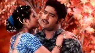 Nee Navvula Full Video Song  Aadi Movie  Jr N T R Keerthi Chawla  shalimarcinema [upl. by Roseanna]