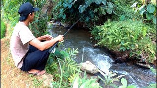 Mancing di sungai Kecil [upl. by Lantz]