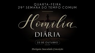 HOMILIA DIÁRIA  A vigilância é atenção amorosa 23102024 [upl. by Myna278]